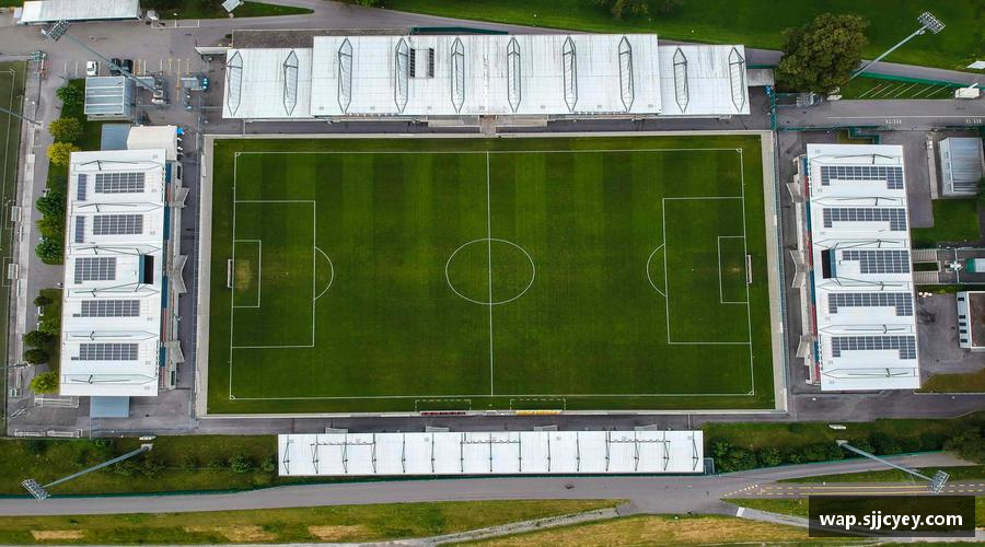 mk体育官网运动梦想，无限可能！